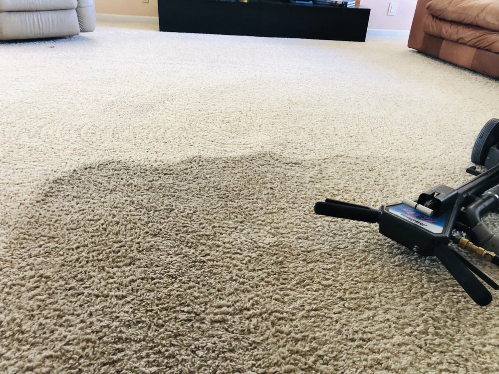 carpet cleaner company