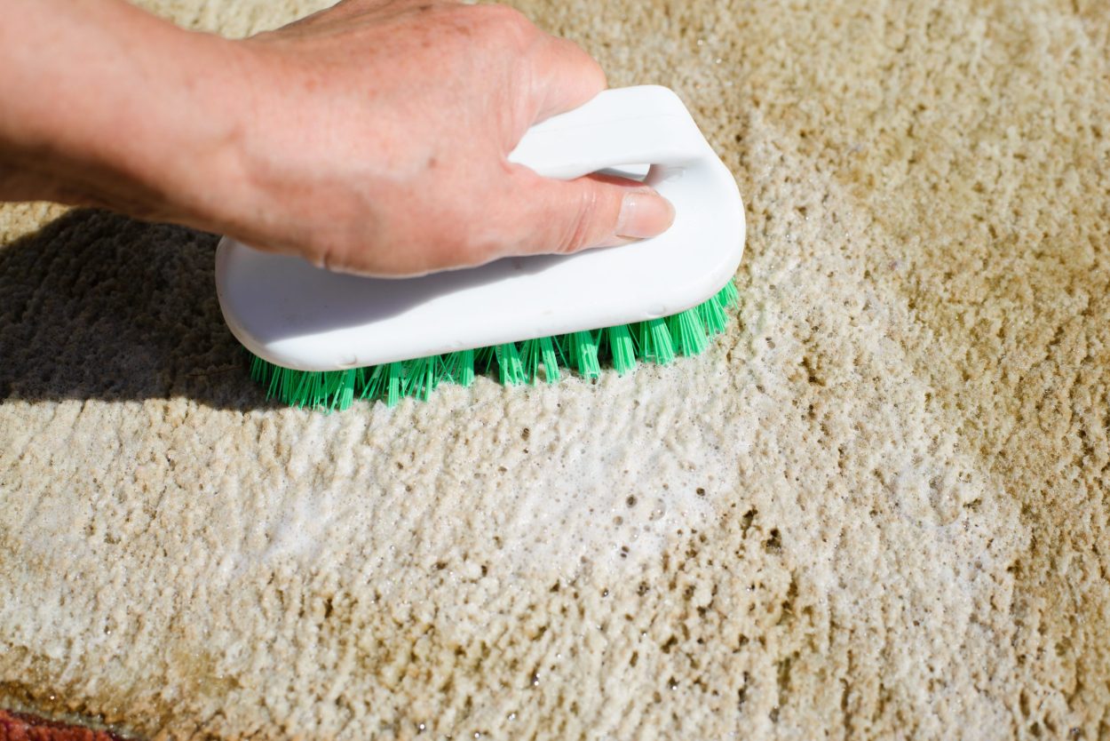 How to Get Mildew Smell Out of Your Carpet